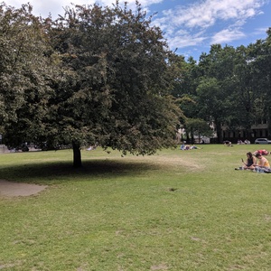 IMG_20190705_091545.jpg